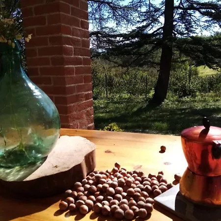Holiday home Casa Delle Foglie Sussurranti *